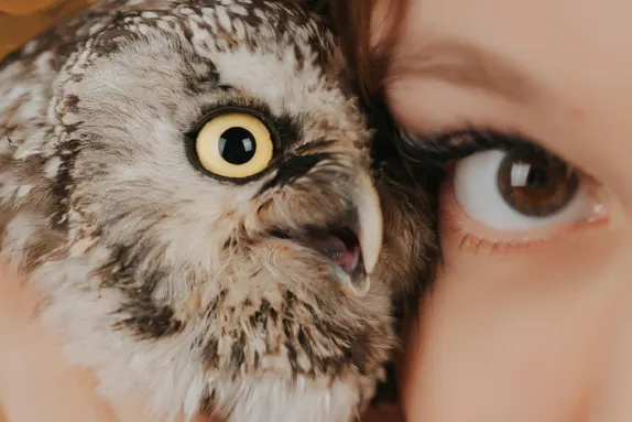 פאראדייס קזינו תמיכה